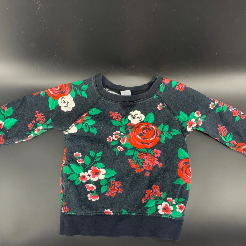 Carter’s floral sweatshirt - 24 months